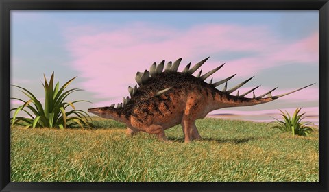 Framed Kentrosaurus Walking across Grasslands Print