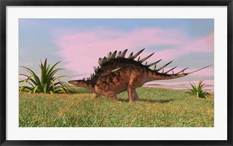 Framed Kentrosaurus Walking across Grasslands Print