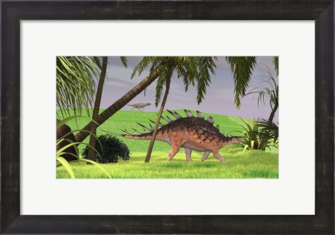 Framed Kentrosaurus Walking in Field Print