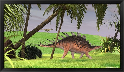 Framed Kentrosaurus Walking in Field Print