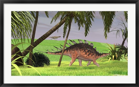 Framed Kentrosaurus Walking in Field Print