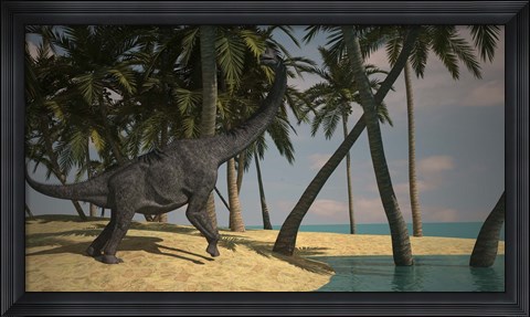 Framed Large Brachiosaurus Print