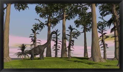 Framed Large Brachiosaurus Among Trees Print