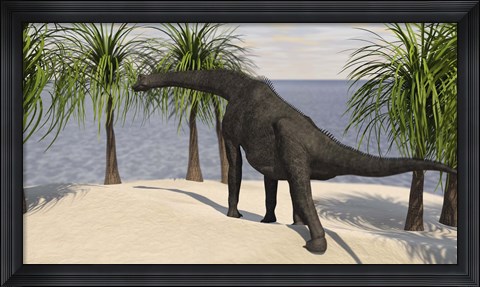 Framed Large Brachiosaurus Grazing on Trees Print