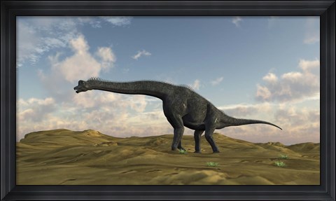 Framed Large Brachiosaurus in a Barren Evnironment Print