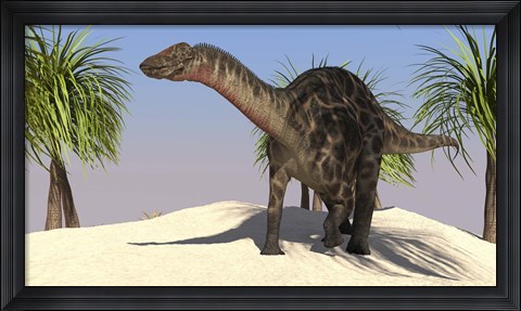 Framed Large Dicraeosaurus Print