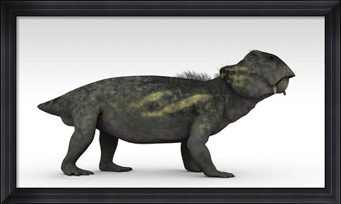 Framed Lystrosaurus Print