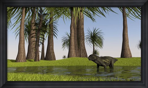 Framed Lystrosaurus Water Print