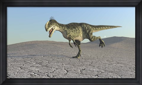 Framed Monolophosaurus Print