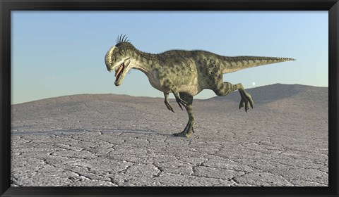 Framed Monolophosaurus Print