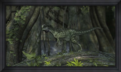 Framed Monolophosaurus in Woodlands Print
