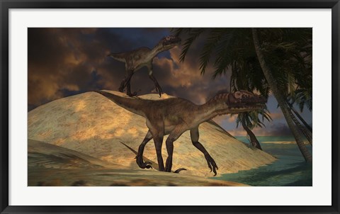 Framed Pair of Utahraptors Print