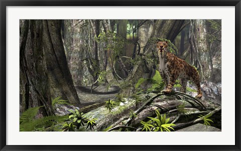 Framed Saber-Toothed Tiger in a Forest Print