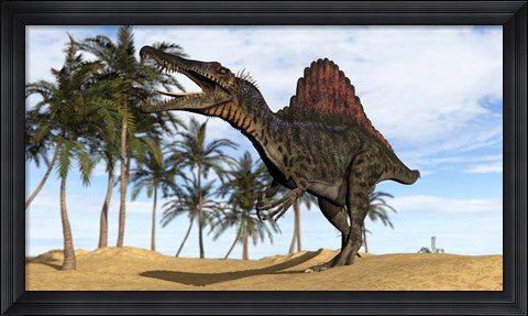 Framed Spinosaurus Hunting Print