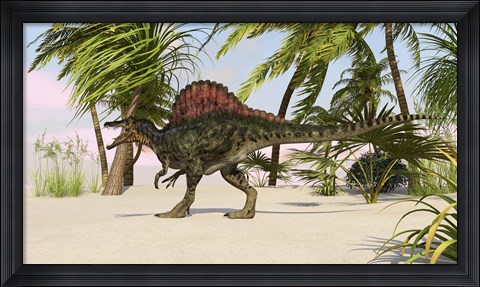 Framed Spinosaurus Hunting for Food Print