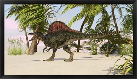 Framed Spinosaurus Hunting for Food Print