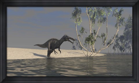 Framed Suchomimus Hunting for Food Print