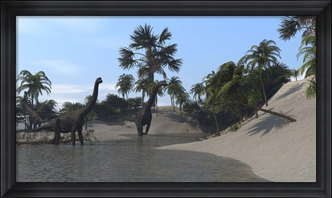 Framed Three Brachiosaurus Dinosaurs Grazing Print