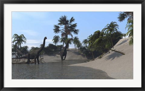 Framed Three Brachiosaurus Dinosaurs Grazing Print