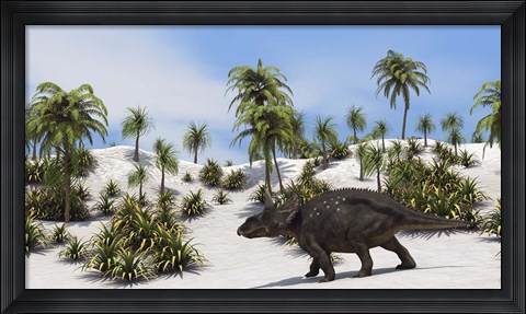 Framed Triceratops in a Tropical Setting Print
