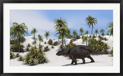 Framed Triceratops in a Tropical Setting Print