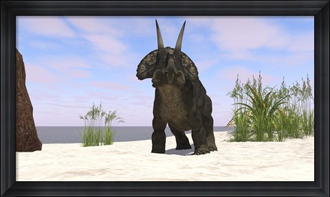 Framed Triceratops on a Beach Print