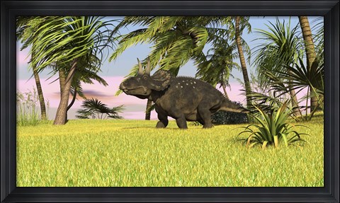 Framed Triceratops Roaming a Tropical Environment Print
