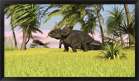 Framed Triceratops Roaming a Tropical Environment Print