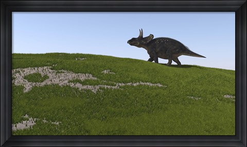 Framed Triceratops Walking Across a Grassy Field Print