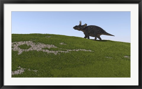 Framed Triceratops Walking Across a Grassy Field Print