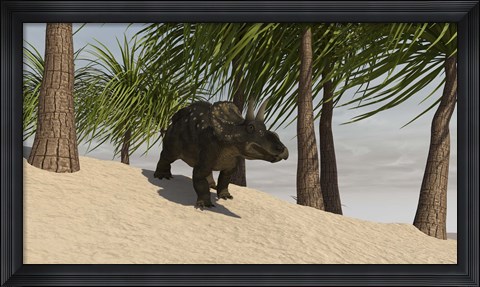 Framed Triceratops Walking in a Tropical Environment Print
