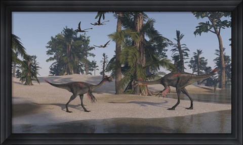 Framed Two Gigantoraptors Print