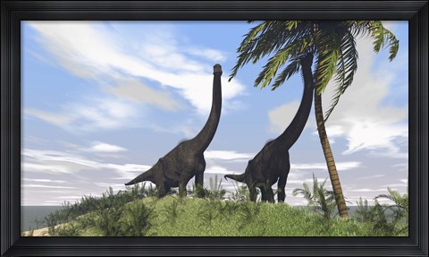Framed Two Large Brachiosaurus Grazing Print