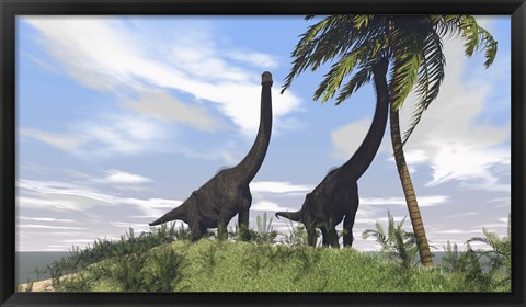 Framed Two Large Brachiosaurus Grazing Print