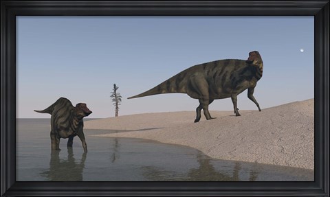 Framed Two Shuangmiaosaurus Dinosaurs Print