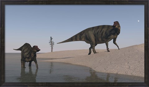 Framed Two Shuangmiaosaurus Dinosaurs Print