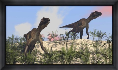 Framed Two Utahraptors Print