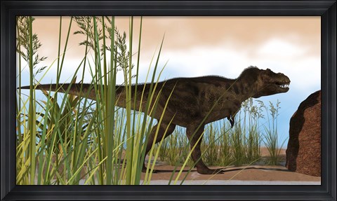 Framed Tyrannosaurus Rex Hunting for Meal Print