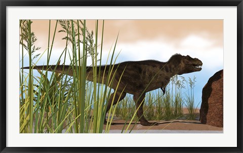 Framed Tyrannosaurus Rex Hunting for Meal Print