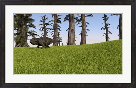 Framed Udanoceratops Print