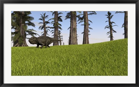 Framed Udanoceratops Print