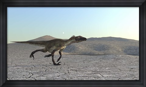 Framed Utahraptor Print