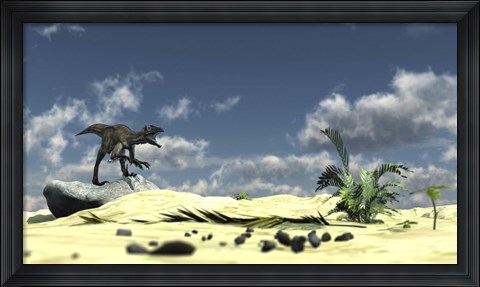Framed Utahraptor Bellows a Loud Roar Print