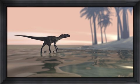 Framed Utahraptor in Shallow Water Print