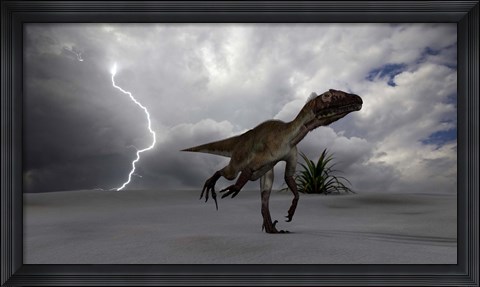 Framed Utahraptor Running Across a Desert Print