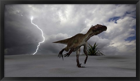 Framed Utahraptor Running Across a Desert Print