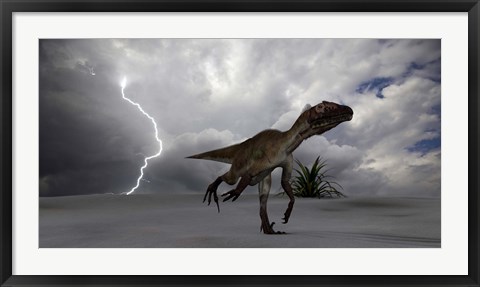 Framed Utahraptor Running Across a Desert Print