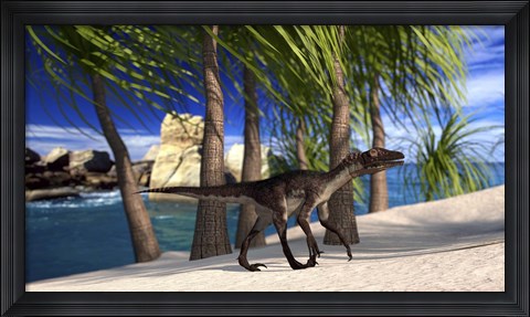Framed Utahraptor Walking Along the Shore Print