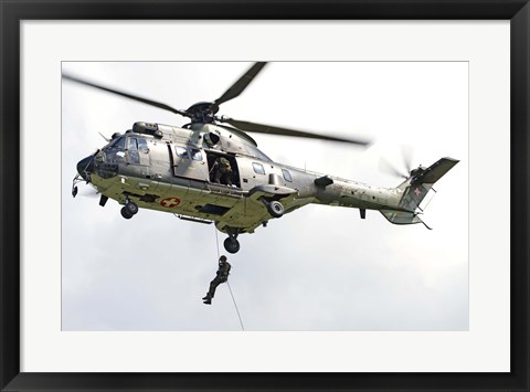 Framed Eurocopter AS332 Print