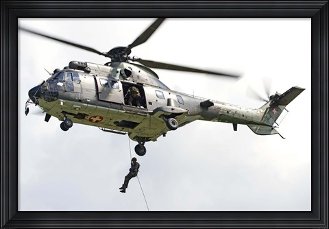 Framed Eurocopter AS332 Print